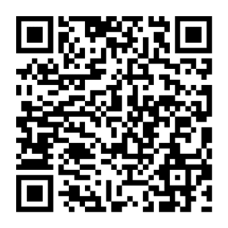 BES endo app